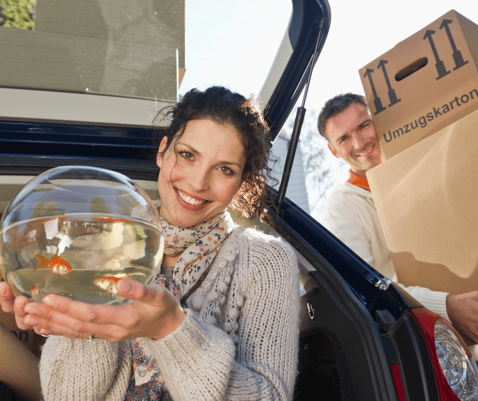 Clevedon Removals Services: Say Goodbye to Moving Day Chaos with Simply Priced Removals Clevedon Removals Services